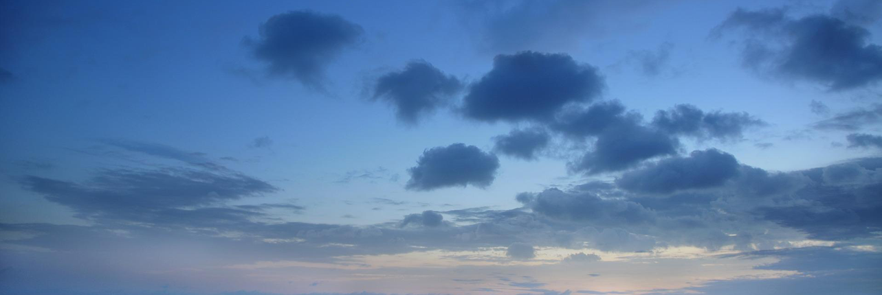 vision_header